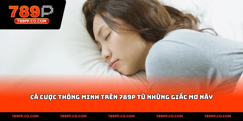 Cá cược thông minh trên 789p từ những giấc mơ này