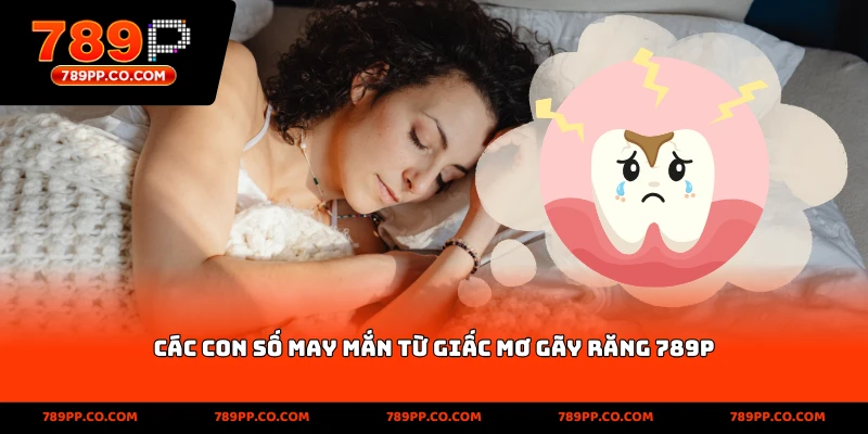 Các con số may mắn từ giấc mơ gãy răng 789p