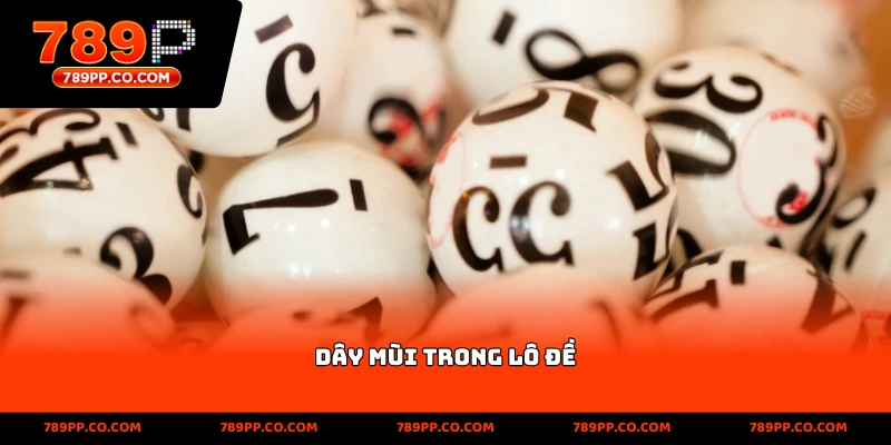 Dây Mùi Trong Lô Đề