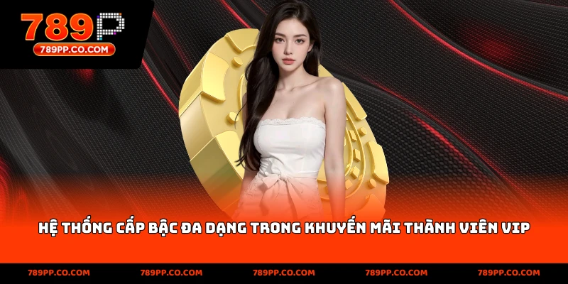 Hệ thống cấp bậc đa dạng trong khuyến mãi thành viên VIP