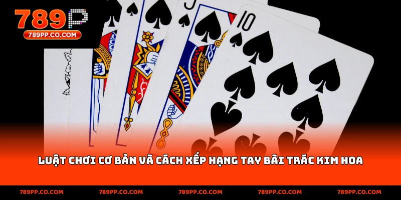 Luật chơi cơ bản và cách xếp hạng tay bài Trác Kim Hoa